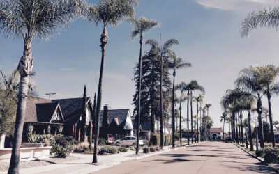 The Davis-Stirling Act: How California Homeowners Can Use It to Hold Their HOAs Accountable