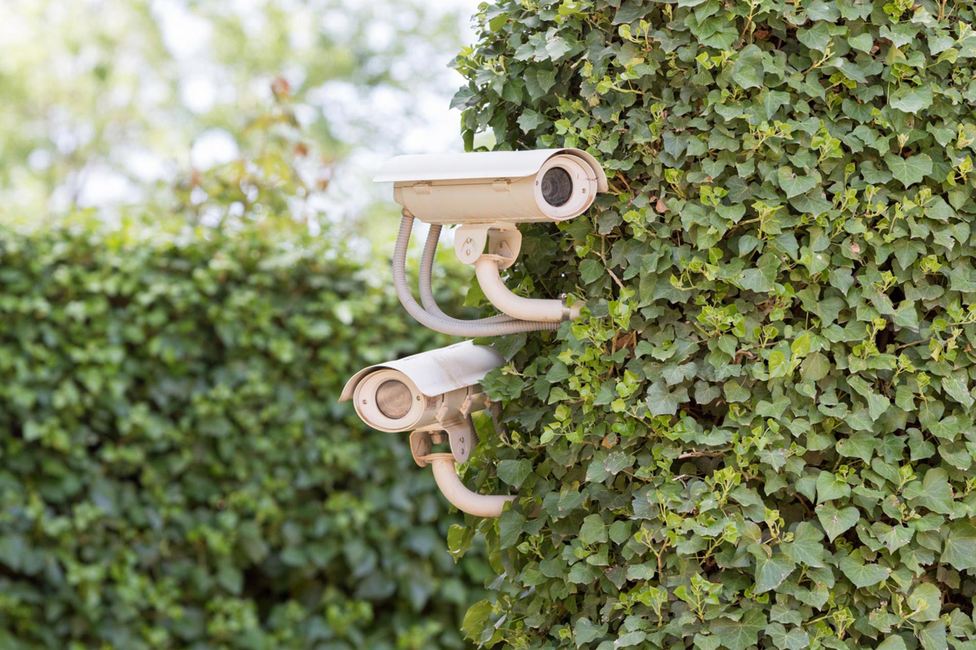 California HOA Crime and Security Duties: What HOAs Are Required to Do