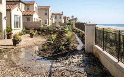 Can My Neighbor Drain Water Onto My Property?