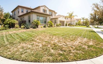 Can My California HOA Fine Me for a Brown or Dead Lawn?